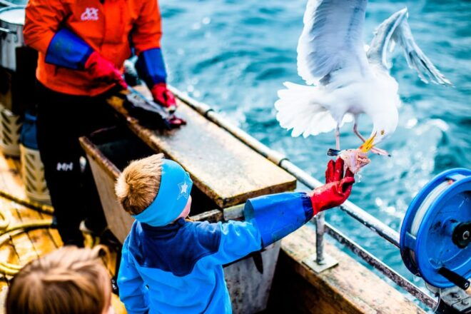 Lofoten: Traditional Fishing Trip - Participant Feedback