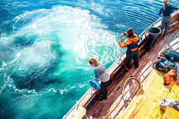 Lofoten: Traditional Fishing Trip - Weather Conditions