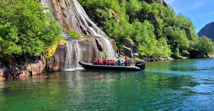 Lofoten: Trollfjord Sea Eagle Safari - Booking Information