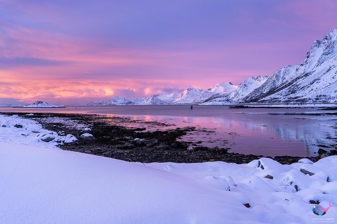 Lofoten Winter Photography Tour - Tour Overview