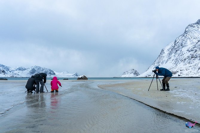 Lofoten Winter Photography Tour - Reviews and Pricing