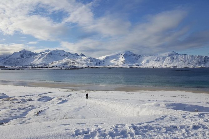 Lofoten Winter Photography Tour to Reine - Inclusions