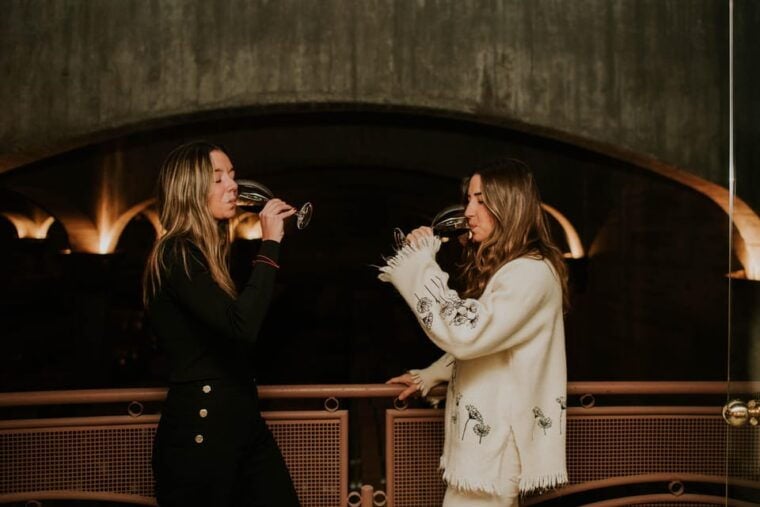 Logroño: Guided Visit With Tasting of 3 Wines and Aperitif at Viña Ijalba. - Tour Details