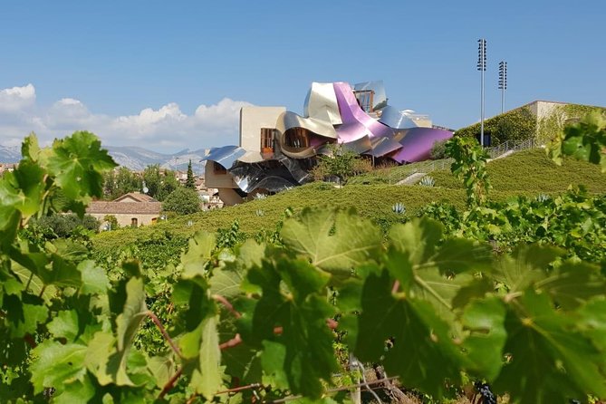 Logrono Small-Group Half-Day Wine Tour  - Pamplona - Pricing and Booking Details