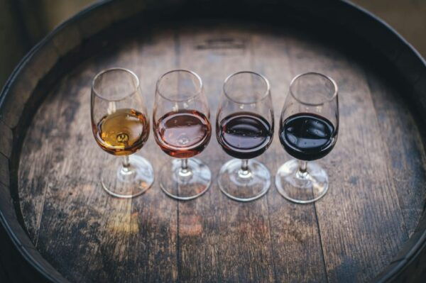 Loire Castle Wine Tasting Tour - Exclusions to Consider