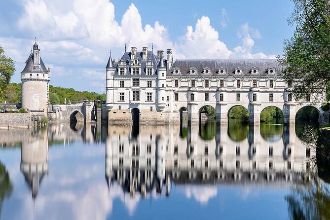 Loire Valley Castles Private Tour by Minivan From Paris - Pricing and Value