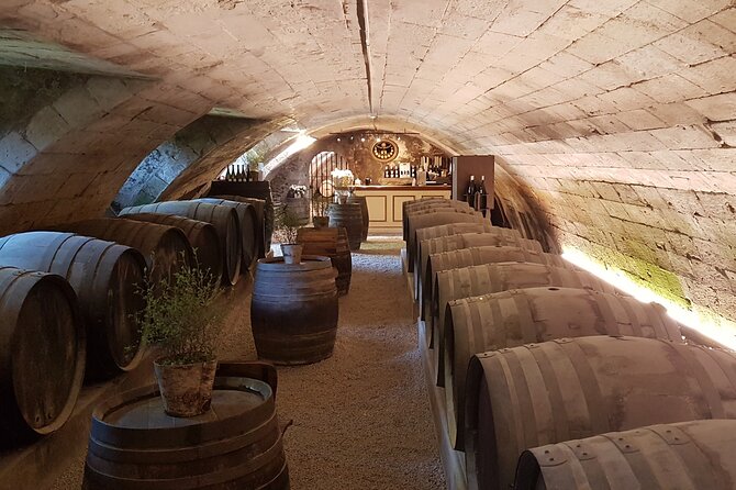 Loire Valley Castles Private Tour From Paris/Skip-The-Line Ticket - Highlights of the Loire Valley Castles