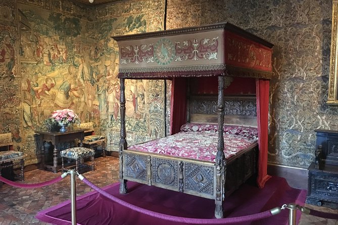 Loire Valley Castles VIP Private Tour: Chambord, Chenonceaux, Amboise - Recommendations and Satisfaction