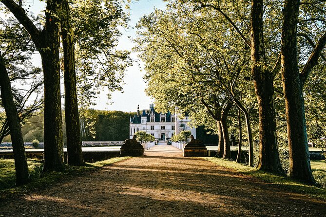 Loire Valley Emblematic Castles Private Tour With Antoine - Exclusive Experiences