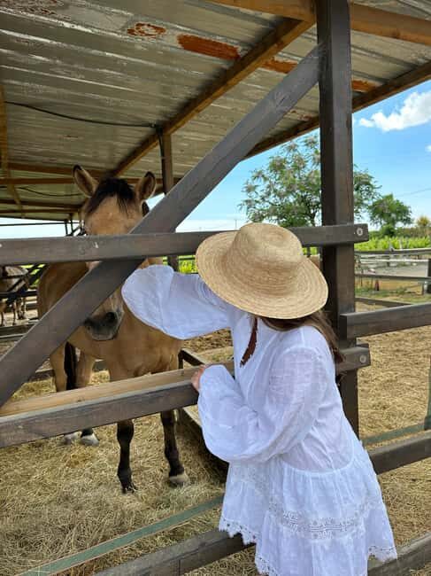 Loire Valley, France Tour: A Royal Gallop Through Time - Practicalities and Considerations
