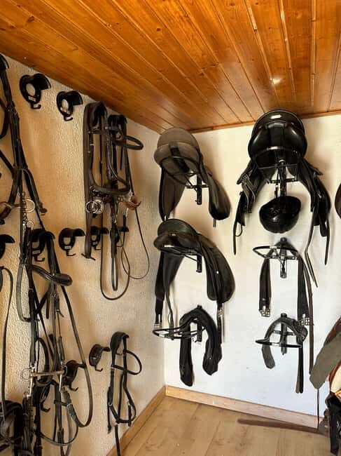 Loire Valley, France Tour: A Royal Gallop Through Time - Final Thoughts: Is It Worth It?