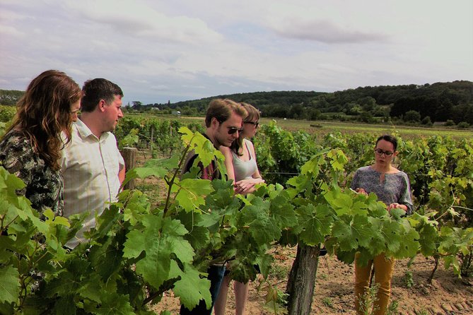Loire Valley Half Day Wine Tour From Tours : Vouvray Wine Tasting - Visits to Two Estates