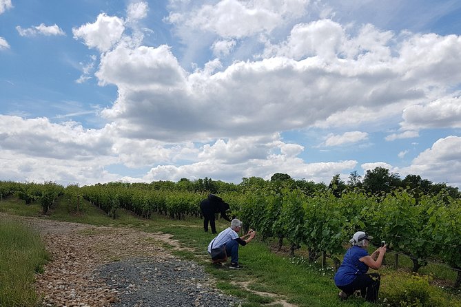 Loire Valley Half Day Wine Tour From Tours : Vouvray Wine Tasting - Meeting a Local Winemaker
