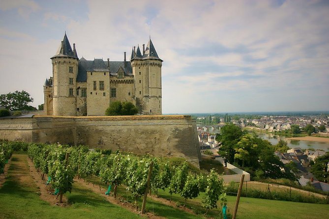 Loire Valley Private Day Trip With Castles Wines & Michelin Lunch - Tour Highlights