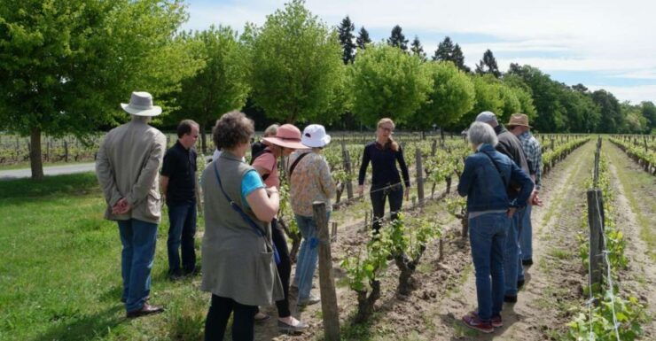 Loire Valley Tour & Wine Tasting Vouvray, Chinon, Bourgueil - Good To Know