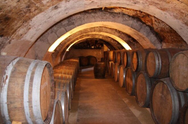 Loire Valley Tour & Wine Tasting Vouvray, Chinon, Bourgueil - Full Itinerary Description