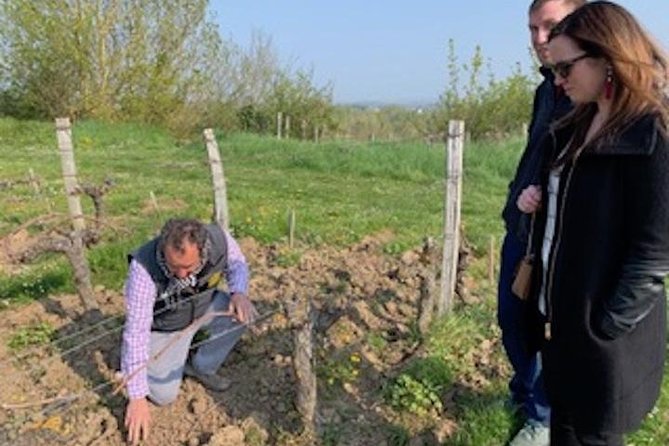 Loire Valley Vineyards and Wine Tour With Picnic Lunch  - Chinon - Pricing and Value
