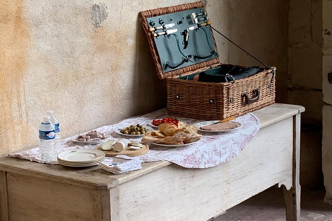 Loire Valley Vineyards and Wine Tour With Picnic Lunch  - Chinon - Vineyard Visit