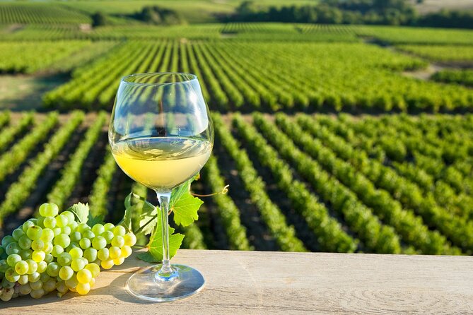 Loire Valley Wine Half Day Tour in Vouvray - Good To Know