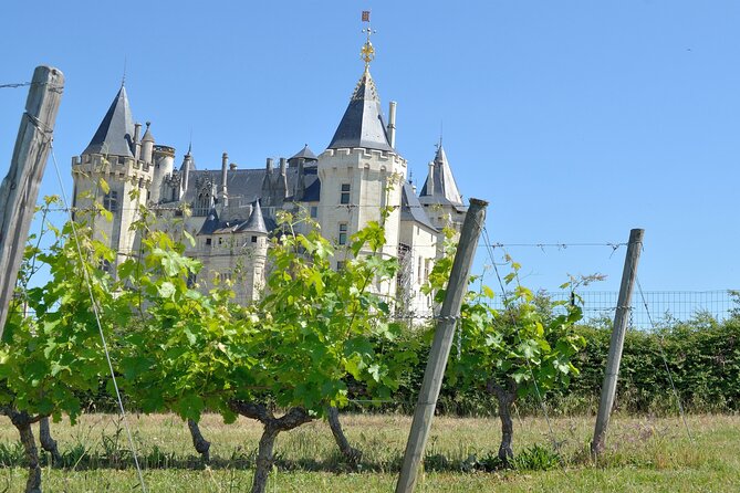 Loire Valley Wine Half Day Tour in Vouvray - Tasting Experience