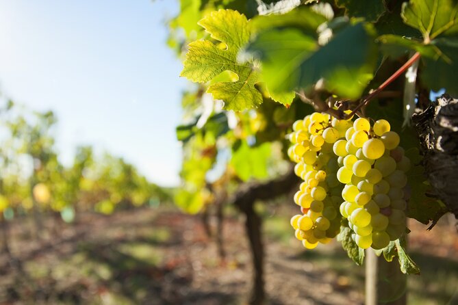 Loire Valley Wine Half Day Tour in Vouvray - Transportation Details