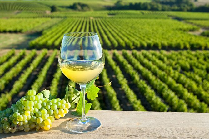 Loire Valley Wine Region: Private Full Day Tour From Tours - Wine Tasting Experience