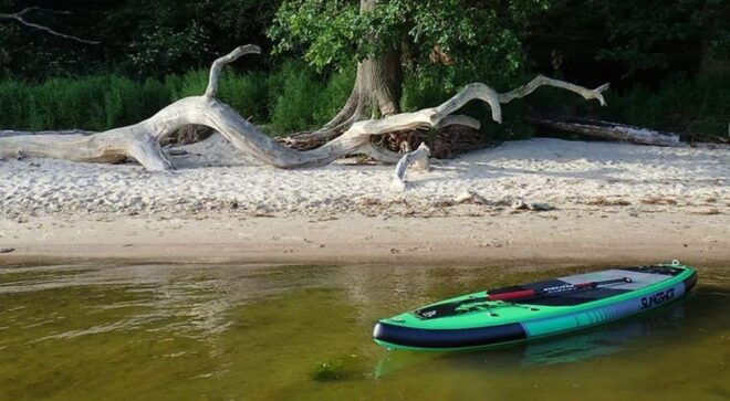 Loissin: Stand-Up Paddling Beginners Course - Instructors Credentials