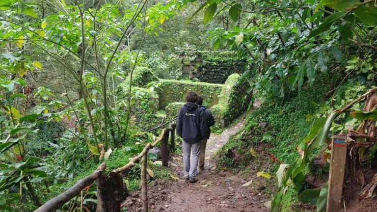 Lomba De São Pedro: Waterfall Hiking Tour With Tea Tasting - Activity Details