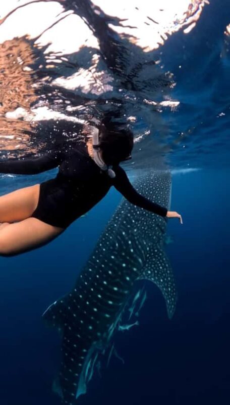 Lombok: 2-Day Whale Shark Snorkeling & Kenawa Island Tour - Good To Know