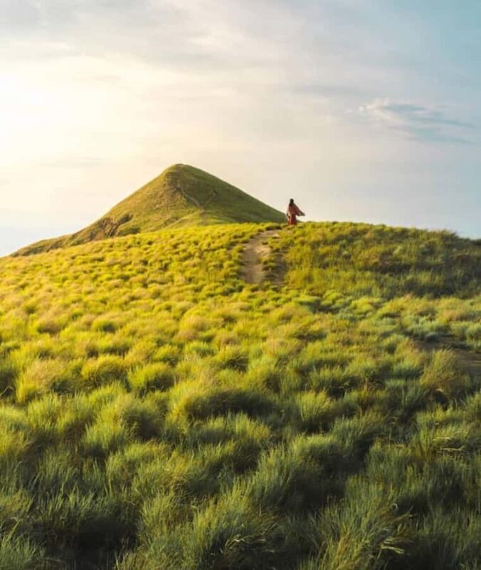 Lombok: 2-Day Whale Shark Snorkeling & Kenawa Island Tour - An In-Depth Look at the Tour Experience