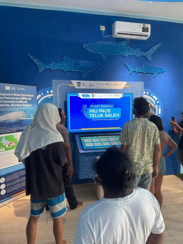 Lombok: 2-Day Whale Shark Tour to Sumbawa with Snorkeling - Snorkeling and Underwater Experience