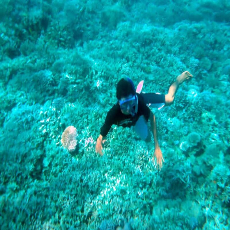 Lombok: 2-Day Whale Shark Tour with Camping & BBQ - Who This Tour Is Perfect For  