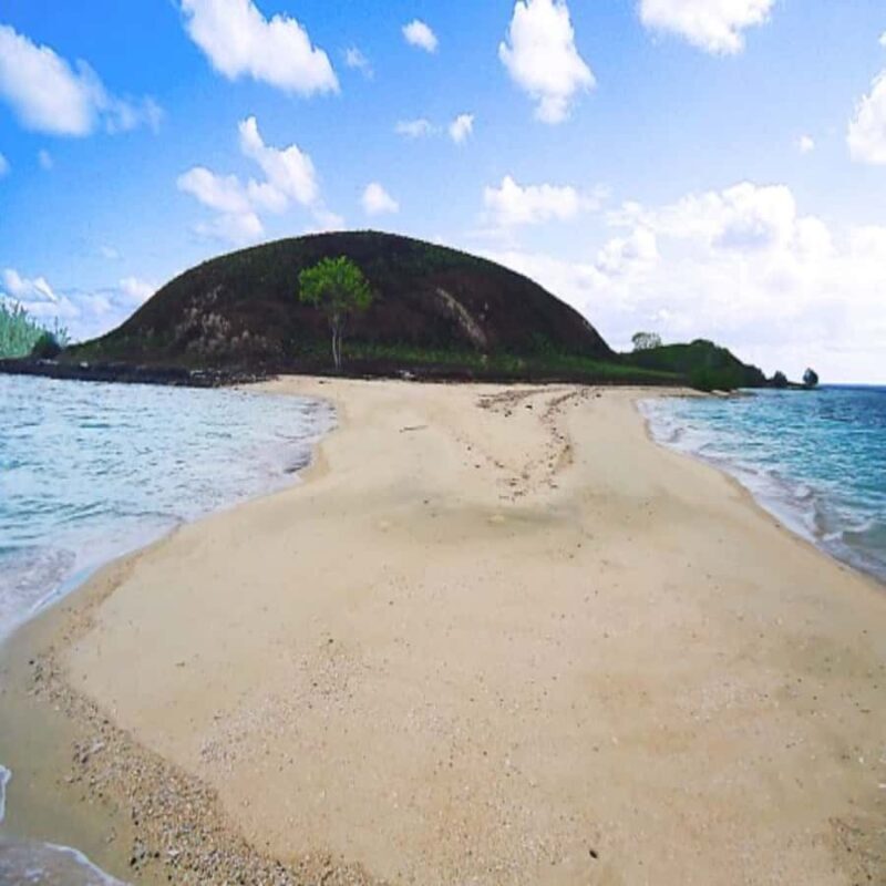 Lombok: 2-Day Whale Shark Tour with Camping & BBQ - FAQs