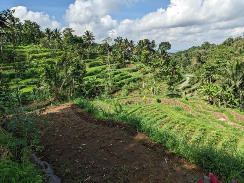 Lombok: 3-Day Hidden Gems Tour with Hotel & Private Car - Why This Tour Offers Great Value