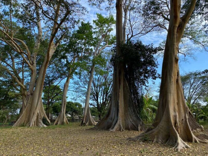 Lombok: 3-Day Hidden Gems Tour with Hotel & Private Car - FAQs