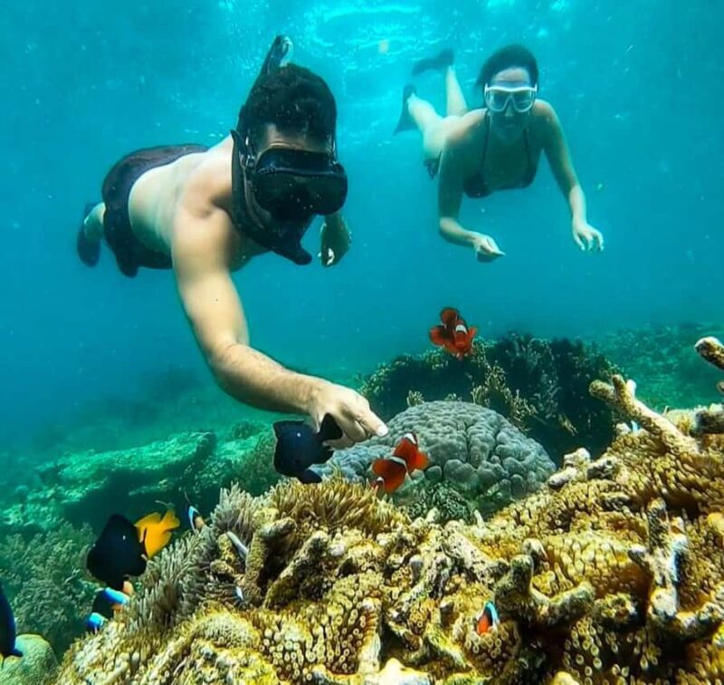 Lombok: 3 Secret Gili Snorkeling Trip & Traditional Heritage - Exploring the Gili Islands from Lombok: An Authentic Day Trip