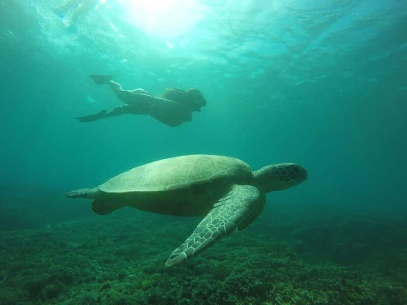 Lombok: 4-Day Sea Nomad Adventure to Labuan Bajo - Good To Know