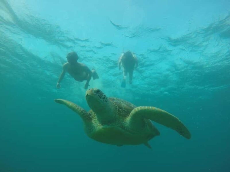 Lombok: 4-Day Sea Nomad Adventure to Labuan Bajo - The Sum Up: Who Is This Tour For?