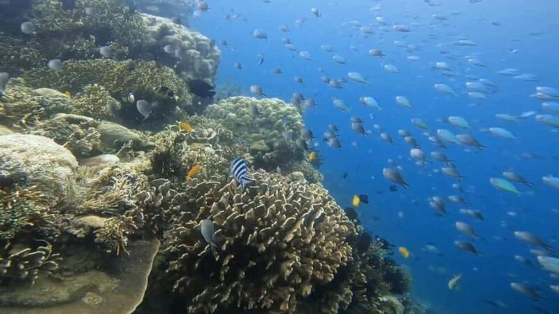 Lombok: 5 Gili Islands Snorkeling Tour With Private Boat - Authentic Experiences and Hidden Gems
