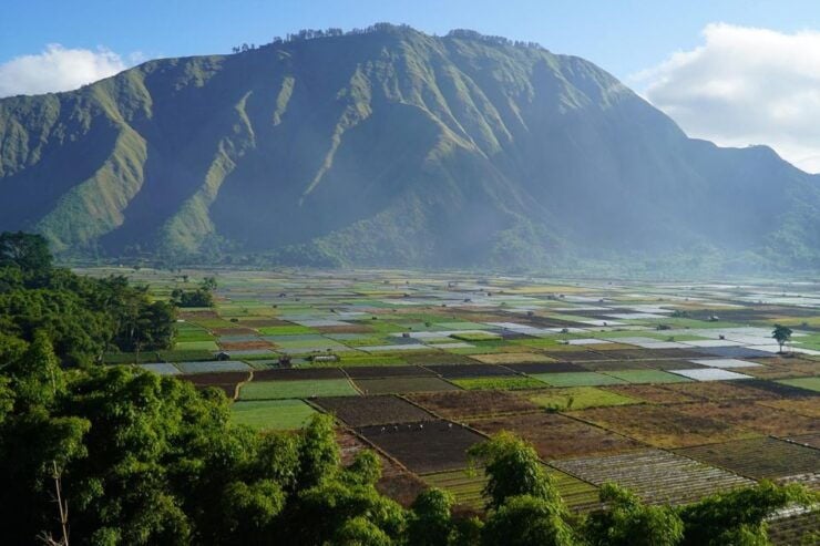 Lombok: Aik Belek/Waterfalls Tour (incl. Lunch) - Experience Highlights