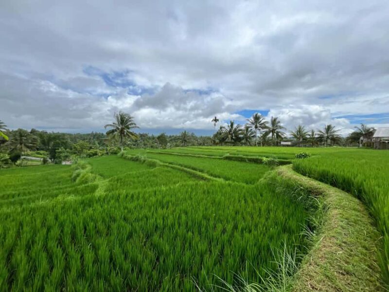 Lombok: Benang Kelambu & Stokel Waterfall, Culture & Beach - Exploring Lombok’s Waterfalls: A Refreshing Start