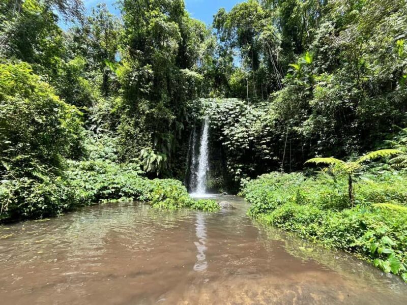 Lombok: Benang Kelambu & Stokel Waterfall, Culture & Beach - Practical Details and Logistics