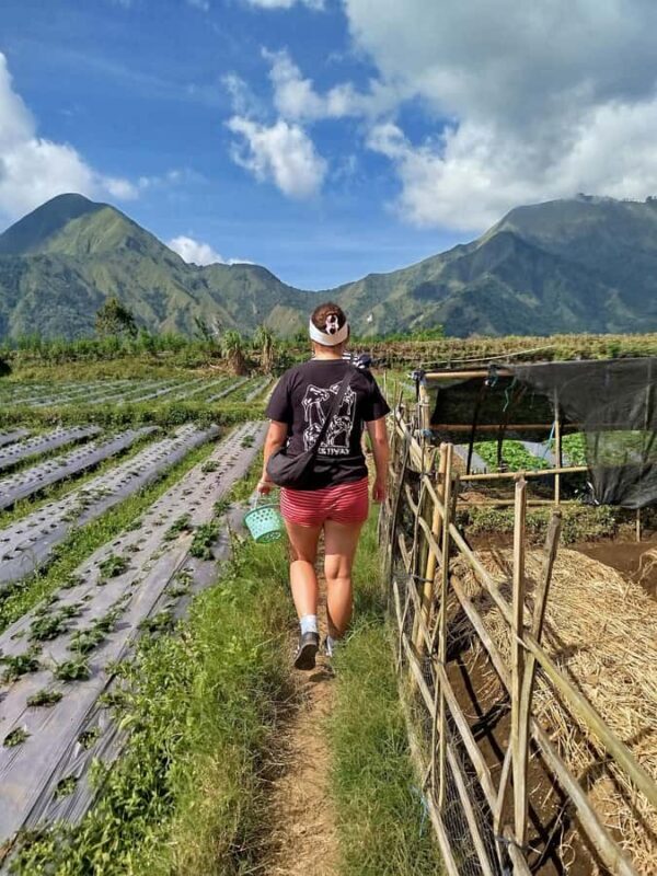 Lombok: Benang Stokel Waterfall Guided Trek with Snacks - Good To Know