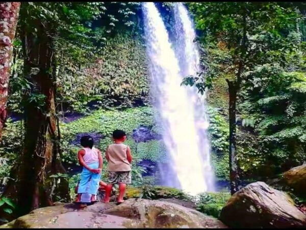Lombok Biggest Waterfall - Sendang Gile & Tiu Kelep Tour - Booking Information