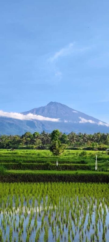 lombok : black monkey , rice terace ,waterfall tetebatu - FAQ