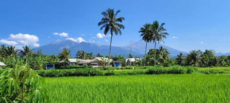 lombok : black monkey , rice terace ,waterfall tetebatu - FAQ