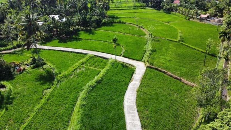 Lombok: Bonjeruk Local Village with Lunch and Workshop - Exploring Lombok’s Bonjeruk Village: An Honest Review
