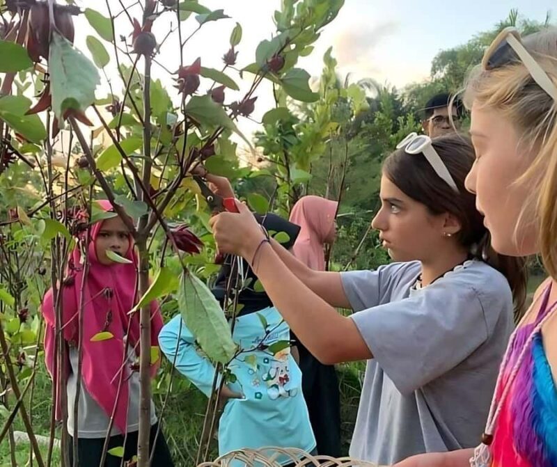 Lombok Bonjeruk Village Biking Tour + City Tour - Good To Know
