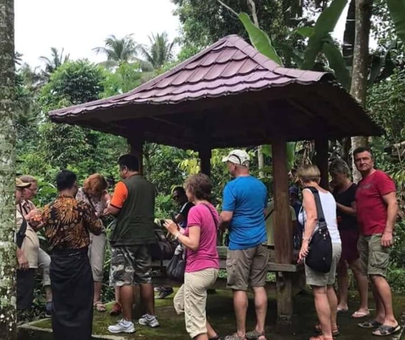 Lombok Bonjeruk Village Biking Tour + City Tour - An In-Depth Look at the Tour