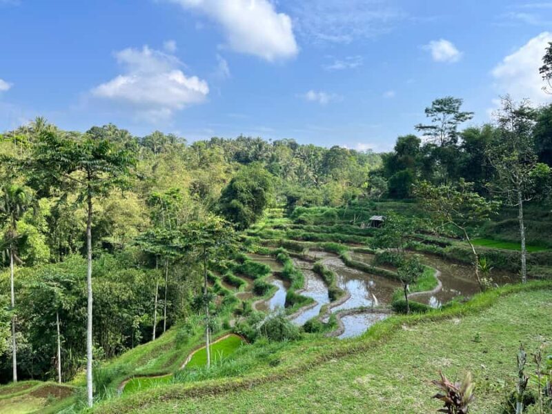 Lombok: Car Hire With Driver - Authentic Local Insights and Tips